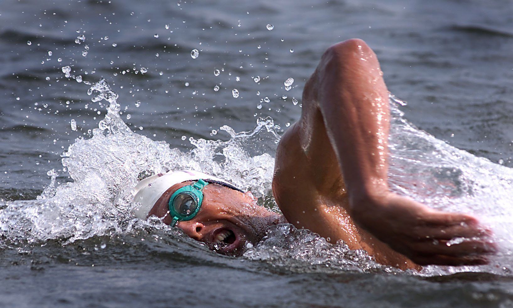 Around the Island Swim